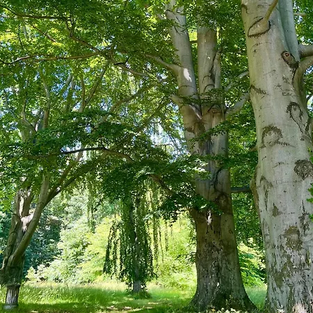 Apartment Auszeit Am Schlossberg Dippoldiswalde